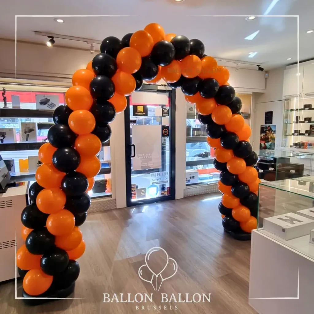 Arche de Ballons (Couleurs au choix)