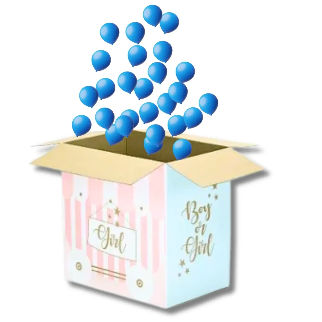 Boîte gender reveal Garçon