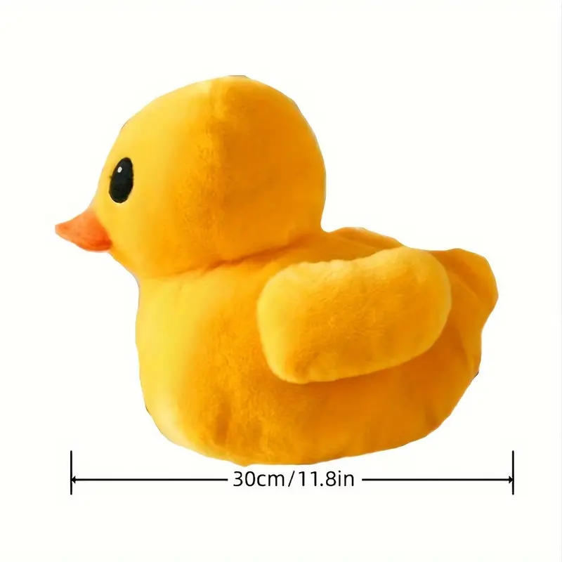 Canard 